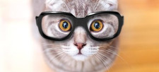Reading_Is_Awsome