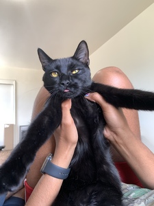 Joe
