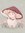 Isa (bookishmushroom) | 73 comments