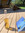 member photo member photo