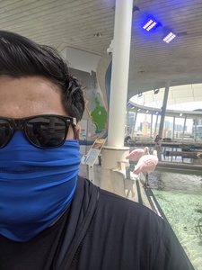 Juan Pablo