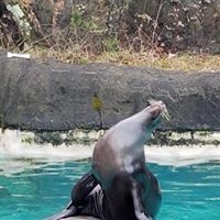 Pam Rodriguez-Cochran