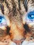 Linda (Miss Greedybooks)