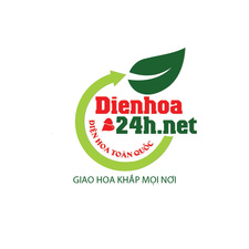 Điện Hoa 24 Giờ