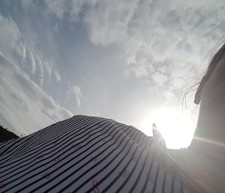 Abstractelf