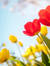 April S...