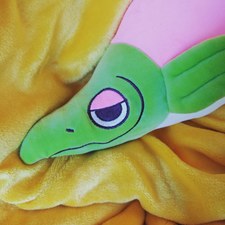 Squid