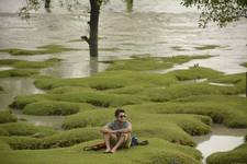 তাহমিদ হাসান