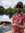 Zachary Lawson (zacharytlawson) | 2 comments