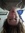 Kayla Humphrey | 2 comments