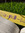 Justin | 12 comments
