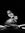 Catarin...