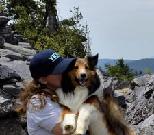 Sheltie Lover