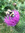 Diane (dianeterry) | 37 comments