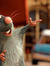 Ratatou...