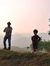 Shyam M...