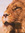 Tayven Ross | 540 comments