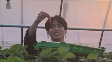 Choi Hussey