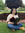 Sara (starmaidenreads) | 4 comments