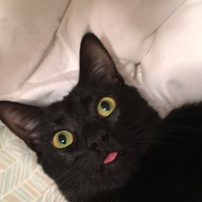Abby