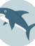 shark