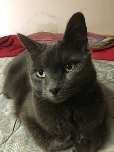 Sara