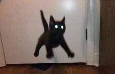 Alan