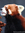 Bianca (bemusedtreefrogreads) | 11 comments
