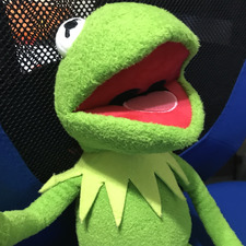 Kermit frog