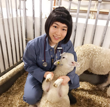 Shirley Wei chen