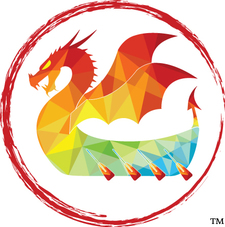 Interplanetary Dragon