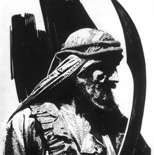 انس المهداوي