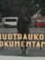 Viltė V...