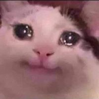 เจมฟี้ ชาไทย