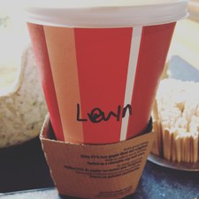 Levyn