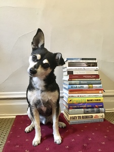 Poncho_reads