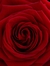 Let It Romance