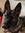 Alex | 101 comments