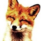 FoxSmile
