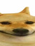 Joe