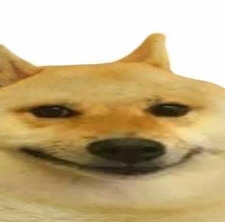 Joe