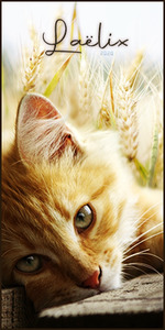 Laëlix
