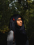 Fatima ...