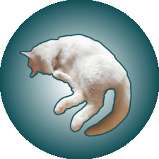 Việt Trung Nguyễn