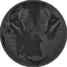 Stacey (Bookalorian)