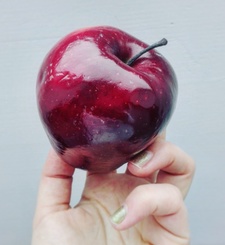 ·Schaåãbscheéėëêèè·