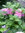 Katherine | 1 comments
