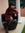 member photo member photo
