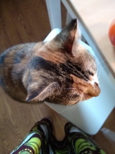 hayleyjay23 on Storygraph