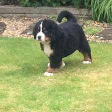 Charley